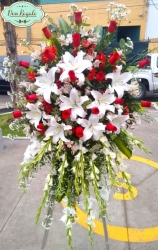 Lágrima Fúnebre Grande