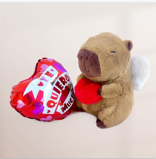 Capibara Love
