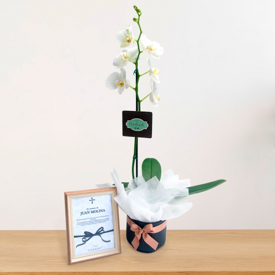 Orquídea blanca con portarretrato conmemorativo