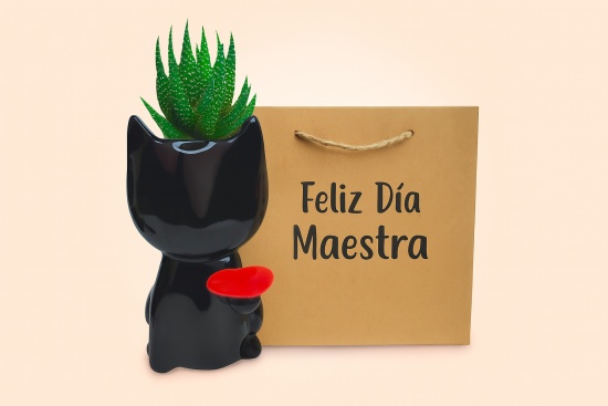 Macetero Gatita encantadora