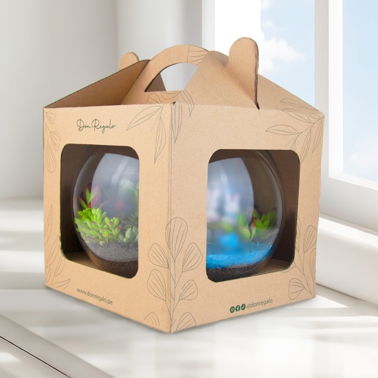 Terrarium de suculentas mixtas parejitas enamoradas