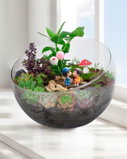 Terrario para enamorados