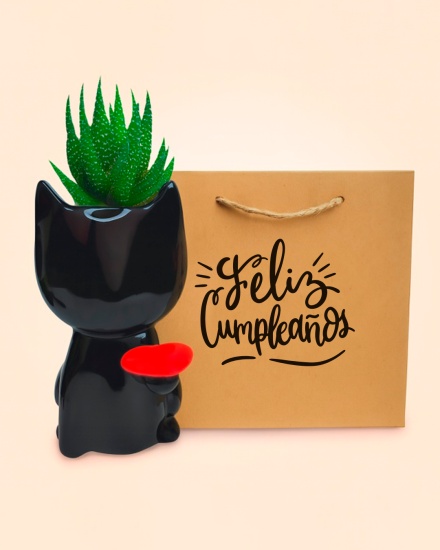 Macetero Gatita encantadora