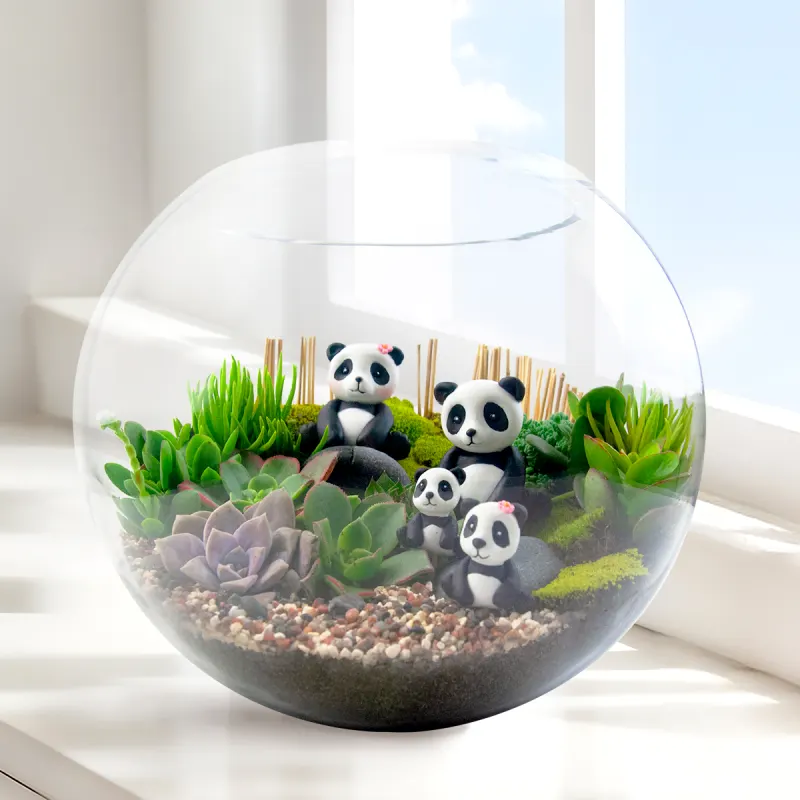 Terrario de suculentas Familia Panditas 