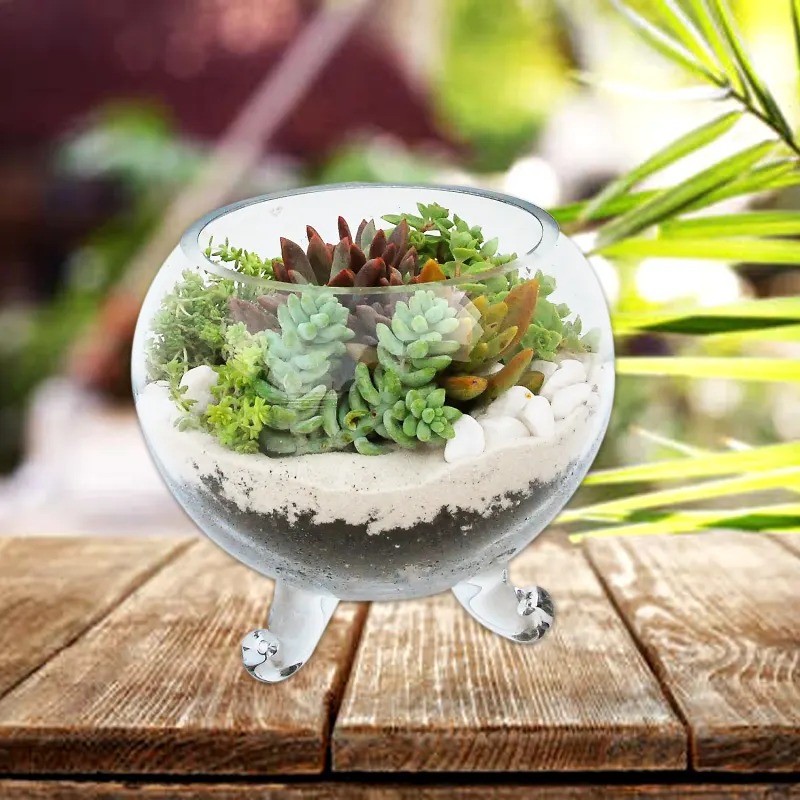 Terrario Mini jardín encantado