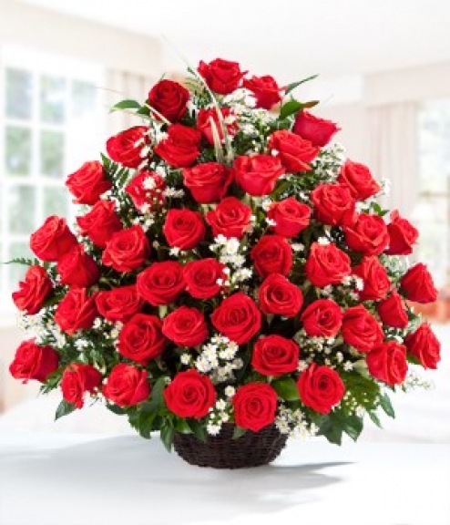 SERENATA DE ROSAS